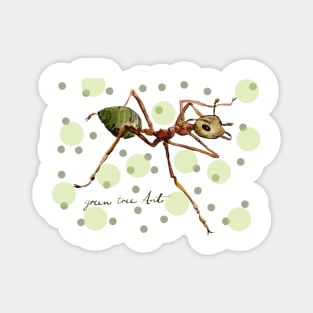 Green Tree Ant Magnet