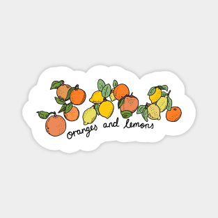 Oranges and lemons with text Magnet