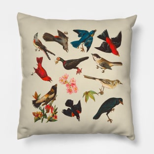 Vintage Birds Pattern Pillow