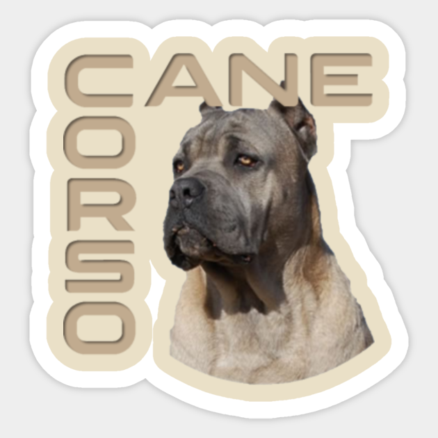 Cane Corso Back Cane Corso Sticker Teepublic