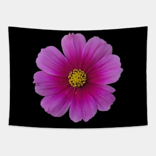 Pink Purple Cosmo Tapestry