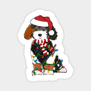 Cute Bernedoodle Wrapped In Christmas Lights Magnet