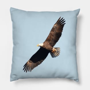 Flying Eagle Pillow