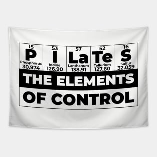 The Elements Of Control - Pilates Lover - Chemistry Lover Tapestry