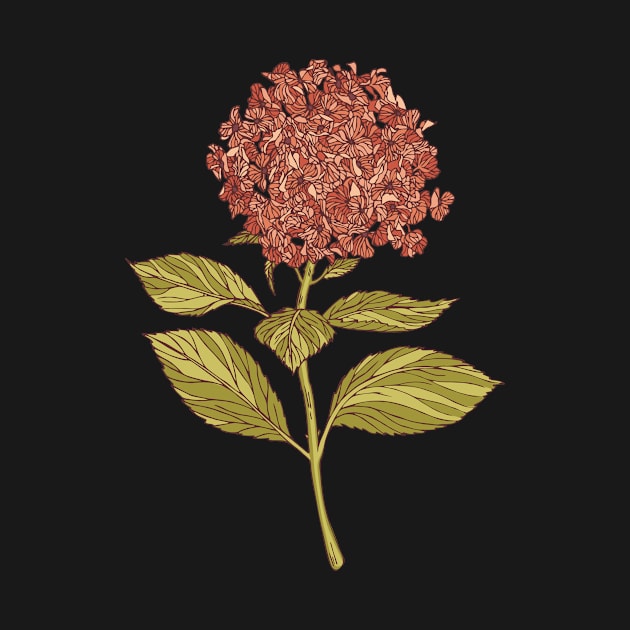 Hydrangea by LadaZodak