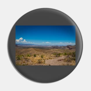 Sotol in the Chihuahuan Desert Pin