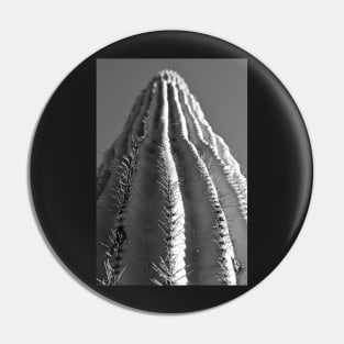 Saguaro in Black and White Pin