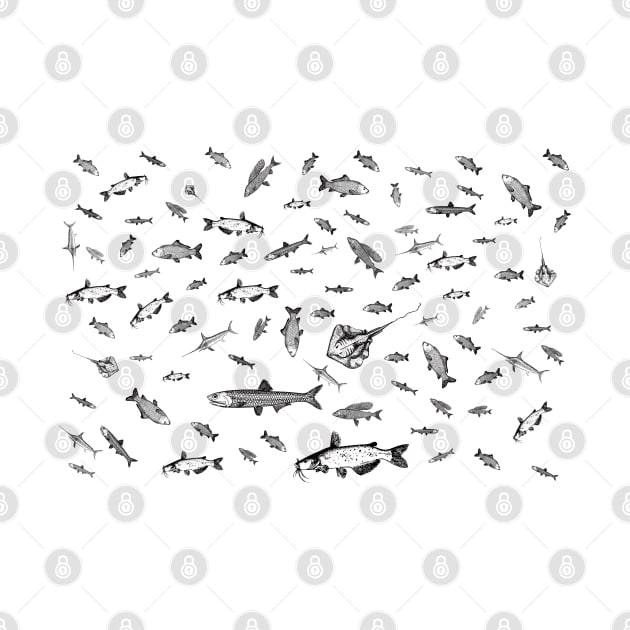 Fishes #fish #fishes by JBJart