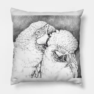 Parrots Pillow