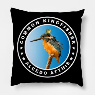 Fat Common Kingfisher (Alcedo Atthis) Bird Pillow