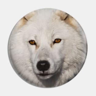 Arctic Wolf Pin