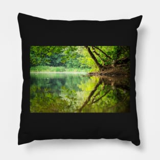 Swamp harmony Pillow