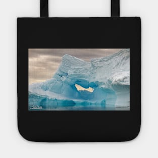 Iceberg V Tote