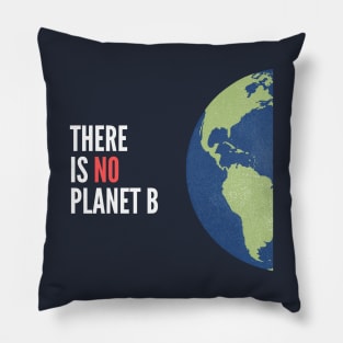 No Planet B Pillow