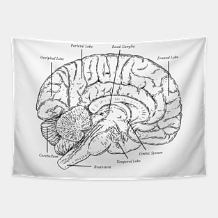 Brain Anatomy Tapestry