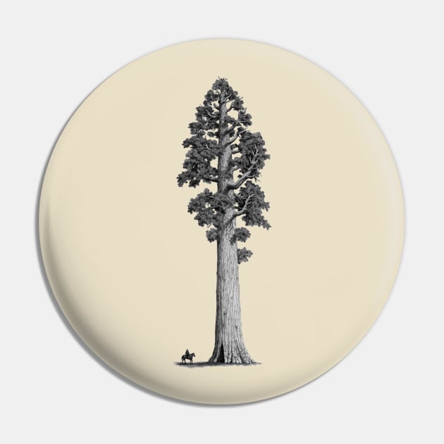 SEQUOIA TREE Pin by The Jung Ones