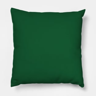 Solid Green Color Pillow