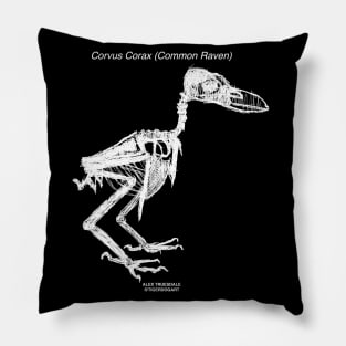 Corvus Corax (Raven) Skeleton Pillow