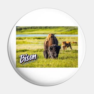 Bison at Yellowstone Pin