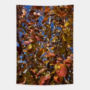 Late Autumn Pear Tree Tapestry