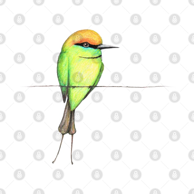 Green bee eater by Bwiselizzy