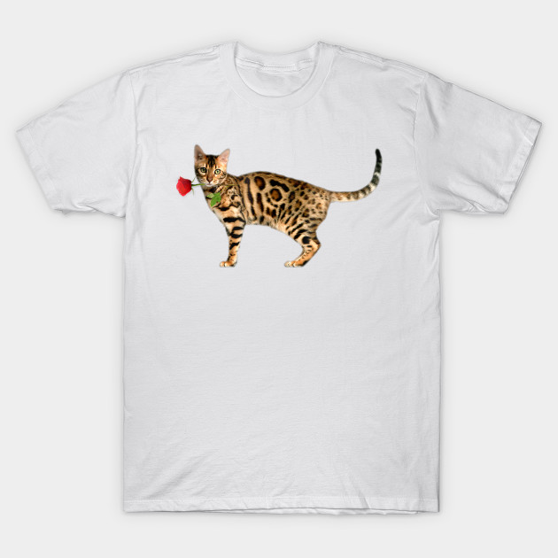 bengal cat t shirt