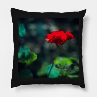 Red Geranium Pillow