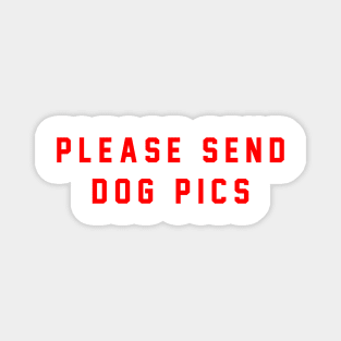 please send dog pics Magnet