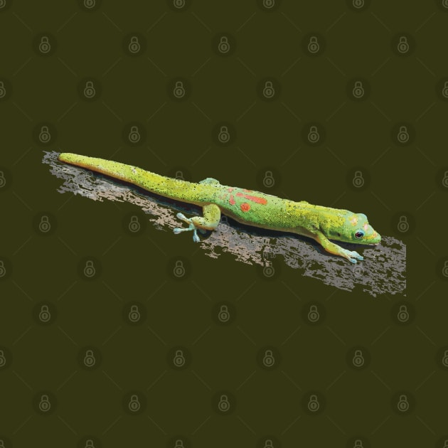 Gold Dust Day Gecko by NadJac