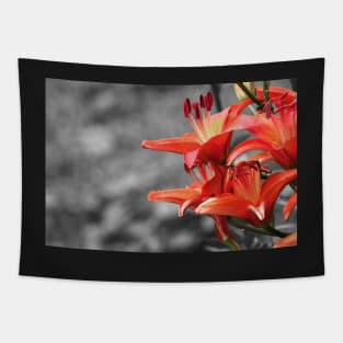 Orange Lily Flower Blossom, black and white photography Tapestry