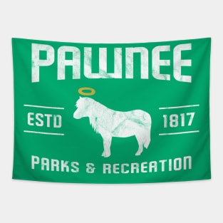 Pawnee ESTD 1817 (Parks & Recreation) Tapestry