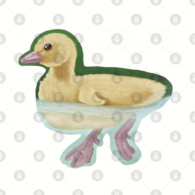 Swimming Duckling by Xetalo