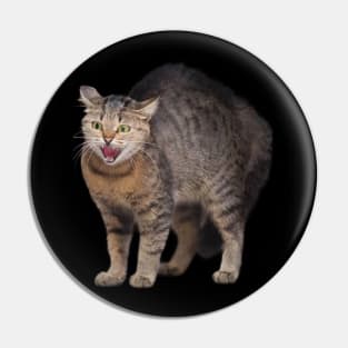 Bad Cat Pin