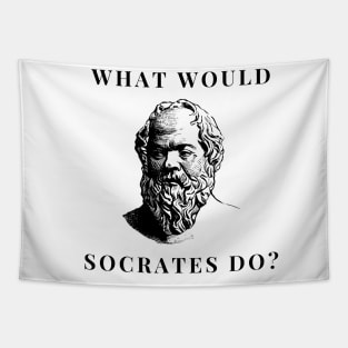 What would Socrates do? Tapestry