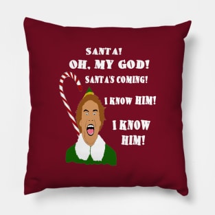 Elf Funny Quotes Pillow