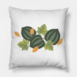 Acorn Squash Pillow