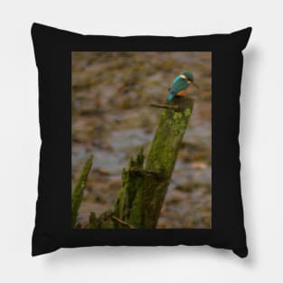 KING OF THE RIVER Pillow