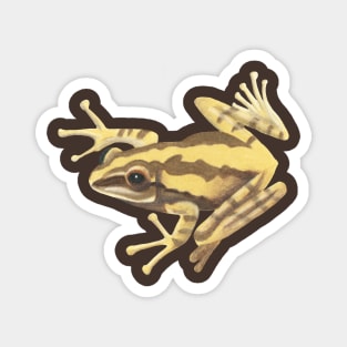 Golden Tree Frog :: Reptiles and Amphibians Magnet