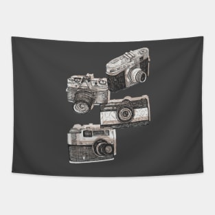 Classic Cameras Tapestry