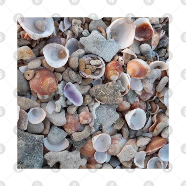 Sea-shells. pattern, shell, beach. sea. summer, sea-life. sand. by PrintedDreams