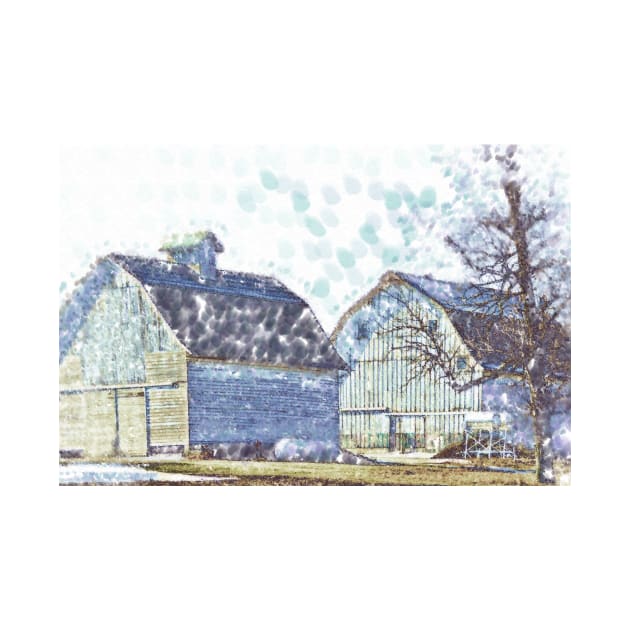 Twin Iowa Barns by KirtTisdale