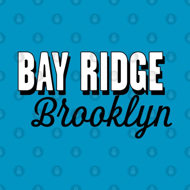 Bay Ridge Brooklyn by MAS Design Co