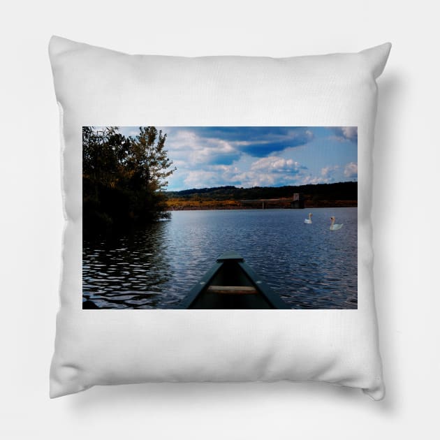 Swans On The Lake Pillow by JimDeFazioPhotography