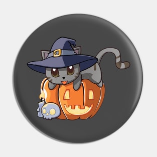 Grey Cat on a Pumpkin Pin