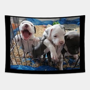 Puppies . Tapestry