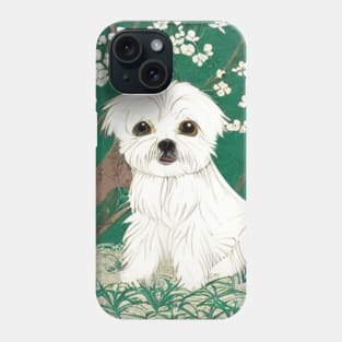 Cute Malshi Dog Shih Tzu Maltese Crusty White Dog Puppy in Garden Phone Case