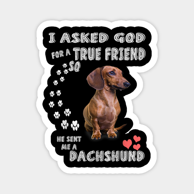dachshund stuff