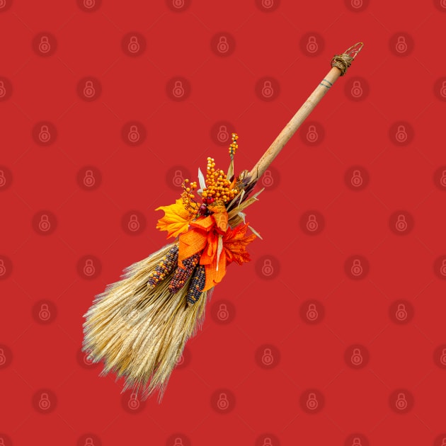 Broomstick by dalyndigaital2@gmail.com