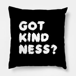 Got Kindness - Be Kind - Humanitarian Day 2018 Shirt Pillow