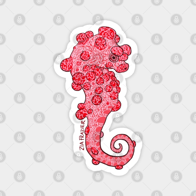 Hippocampus Bargibanti Magnet by ziafrazier